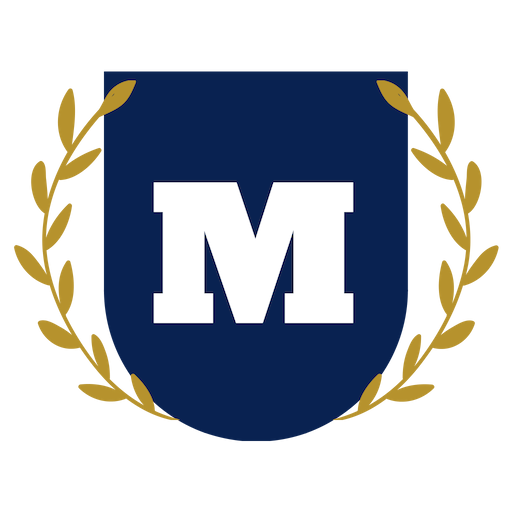 Insurance Master Vectored favicon 512x512